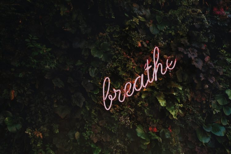 breathe sign in shrubbery